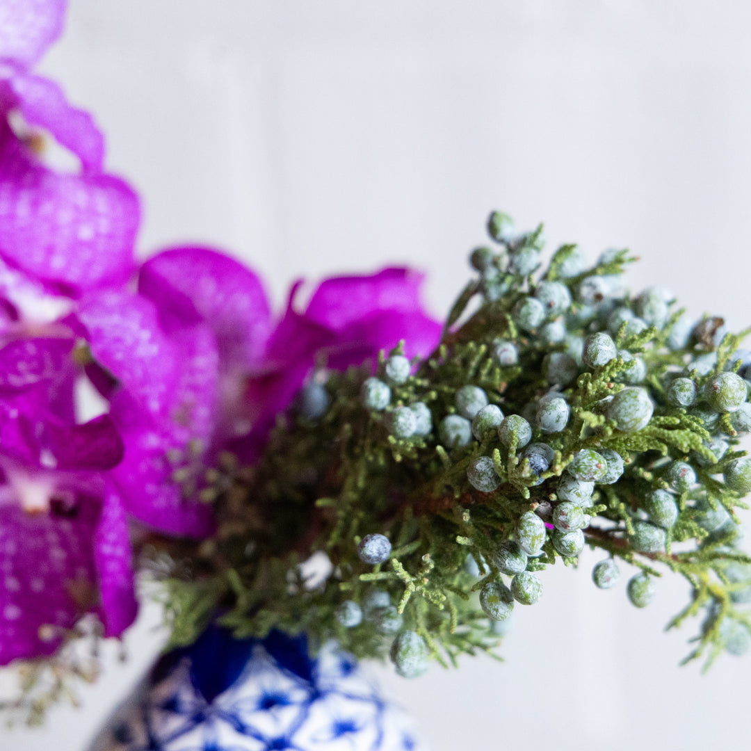 Close-up of purple flowers and greenery on a white background