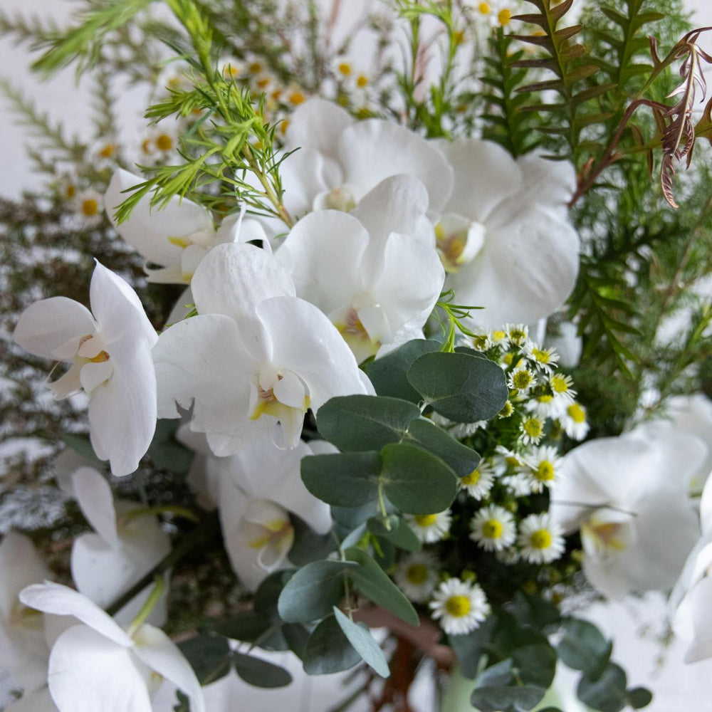 Bouquet of white flowers with greenery
