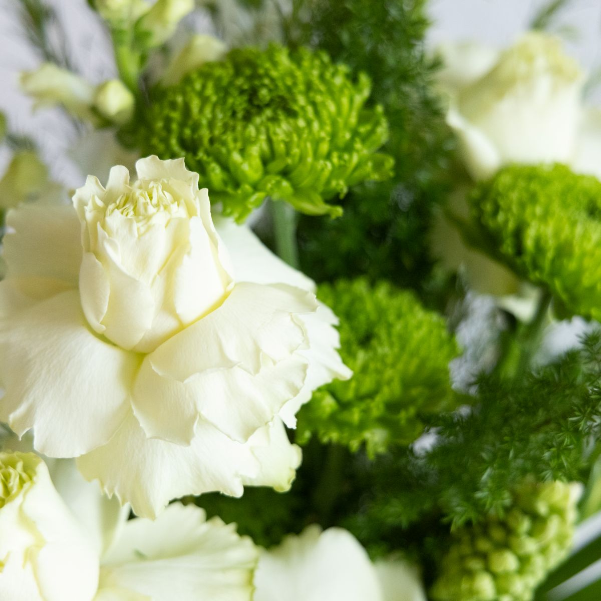 Close-up of a bouquet with white flowers and green foliage