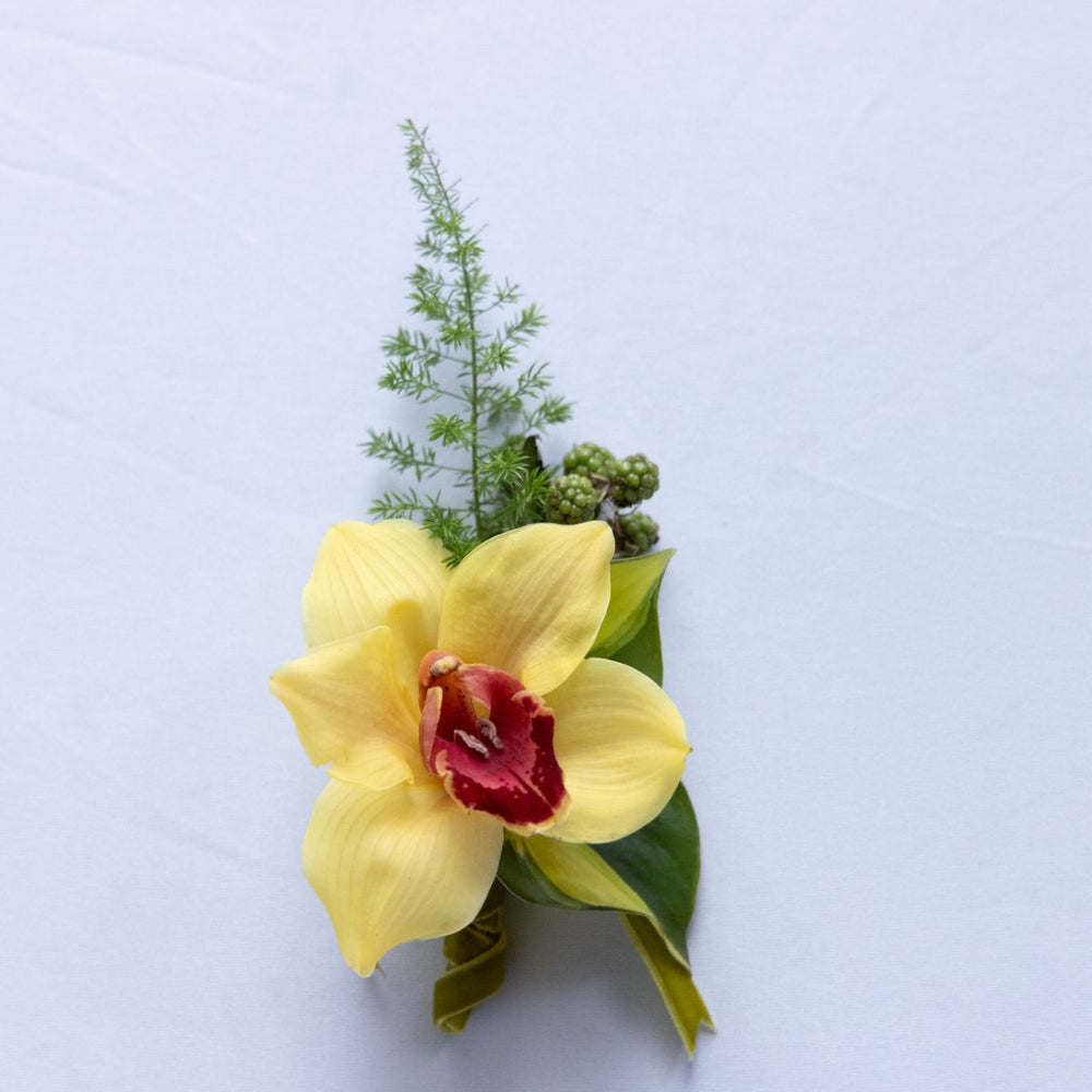 Yellow orchid with red center and green leaves on a light blue background