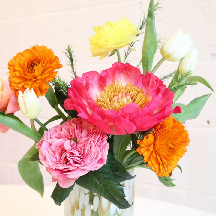 Cherish | A vase arrangement filled with one pink garden rose, one coral peony, two calendula, one orange garden rose, twi white tulips and one yellow ranunculus, in a cream and tan glass vase, on a white background closer up on the flowers.