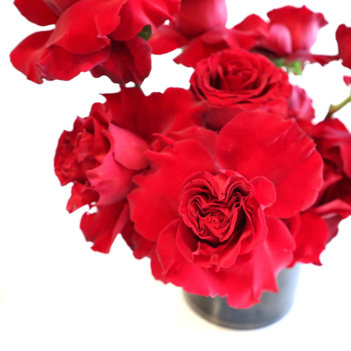 Red Rose Radiance| This arrangement filled with red roses, in a black vase on a white background with a closer view of the roses.