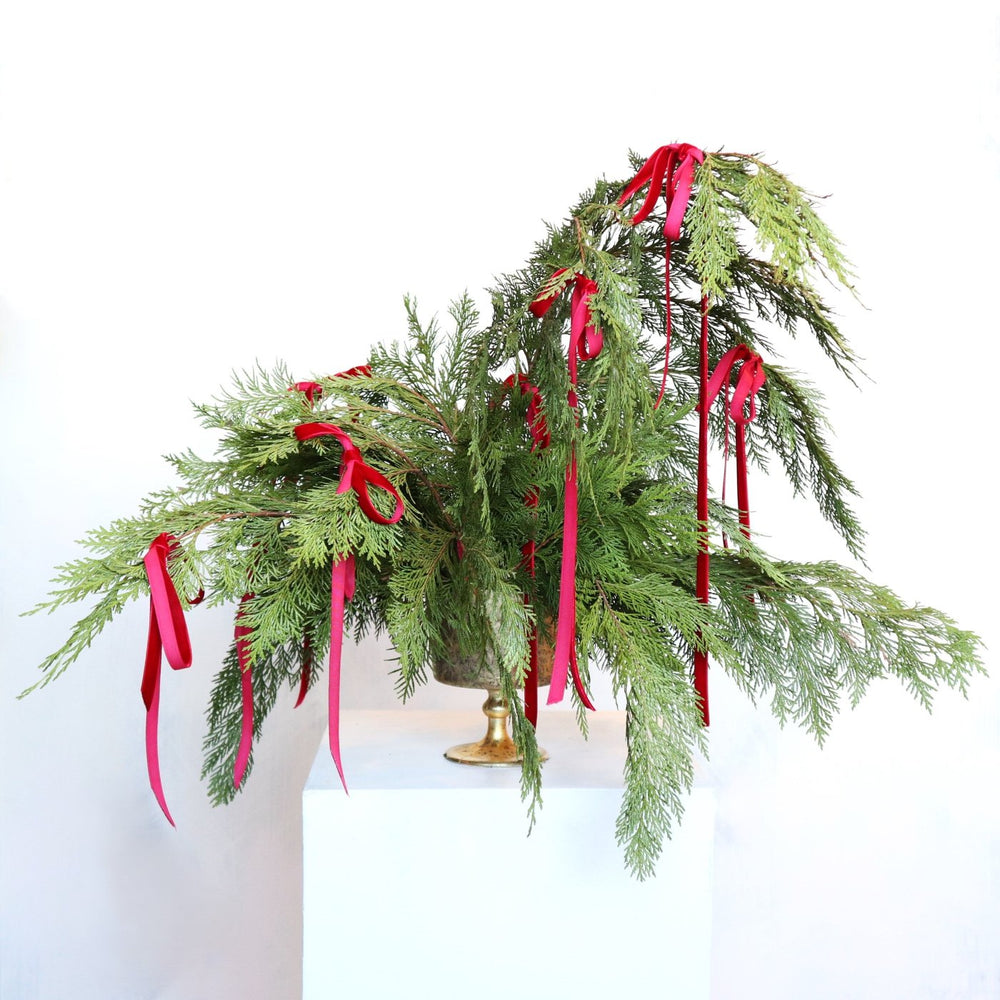 Lush evergreen branches, gracefully arranged in a vintage style brass vase. The cascading greenery is adorned with vibrant red ribbons.