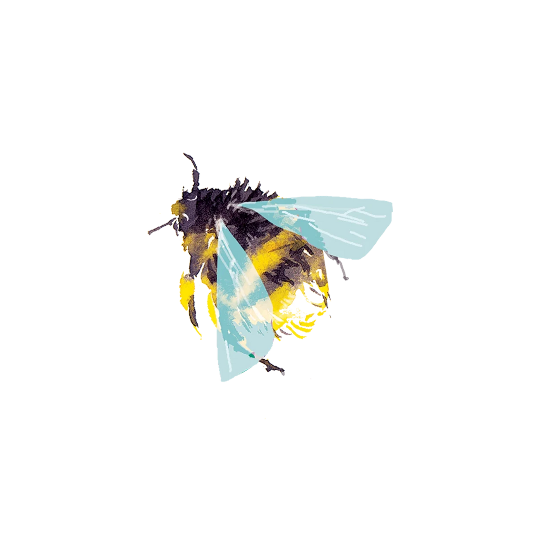 Tattly Tattoos | A black and yellow bumble bee with blue transparent wings in a water color style.