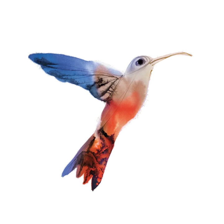 Tattly Tattoos | A watercolor humming bird with blue, orange, and gray.