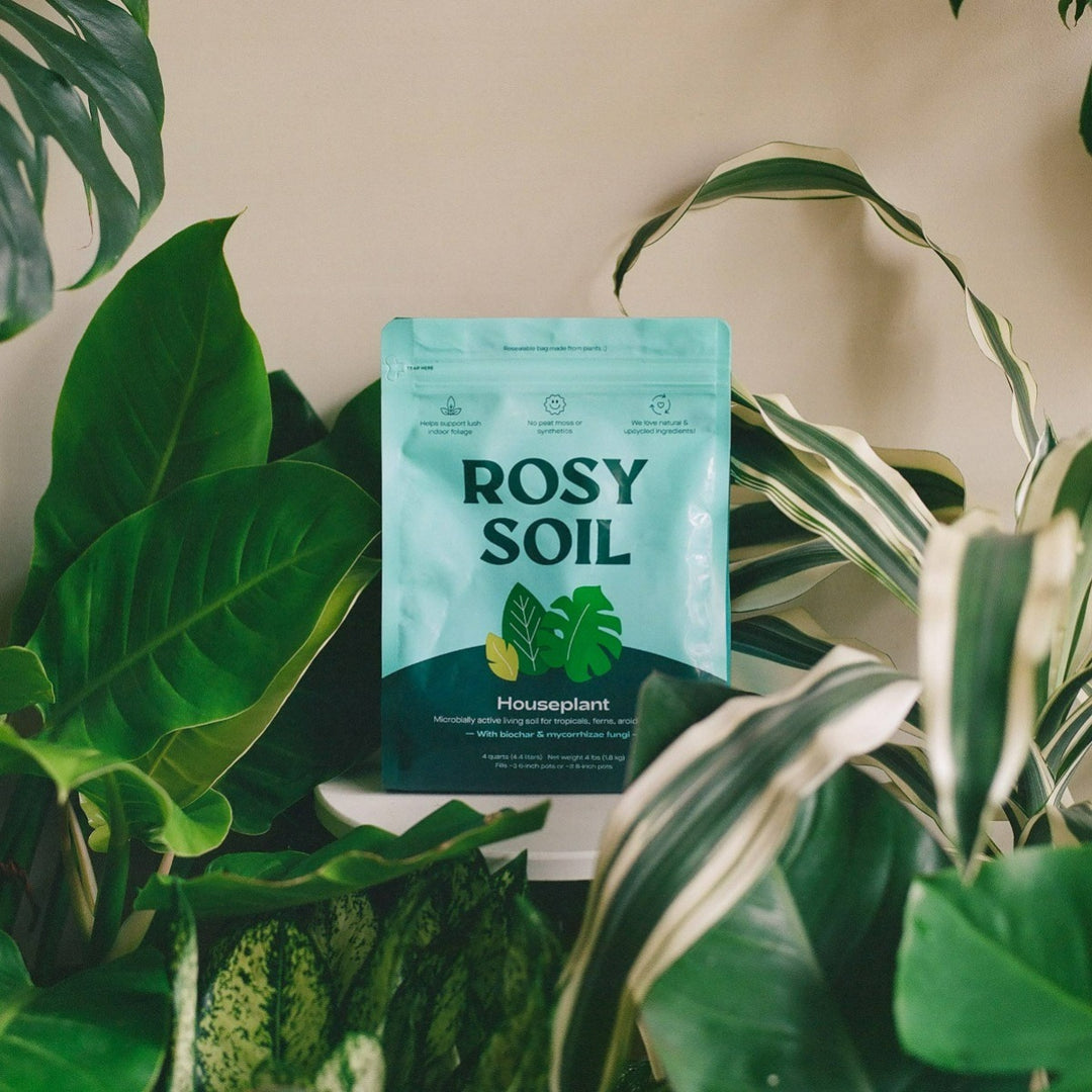 potting mix for flowers 4qt Organic Potting Soil Mix