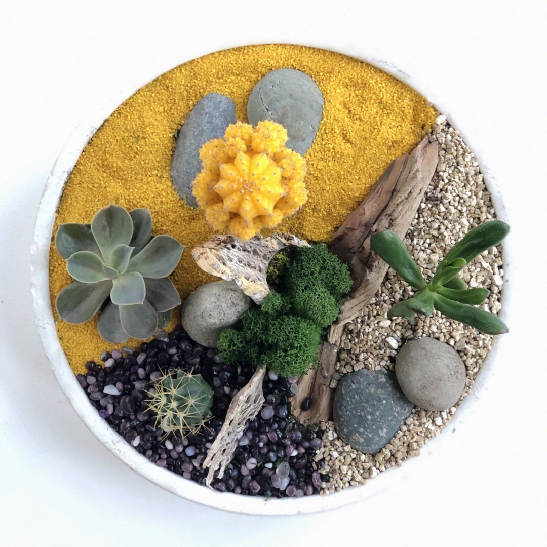 cactus and succulent design Stacy K Floral