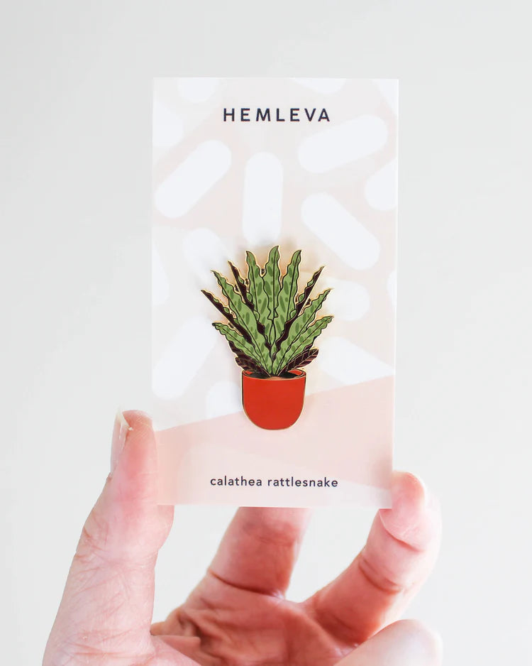 Hemleva Enamel Pins | Calathea rattlesnake pin with a red pot. Package is being held up against a white background.