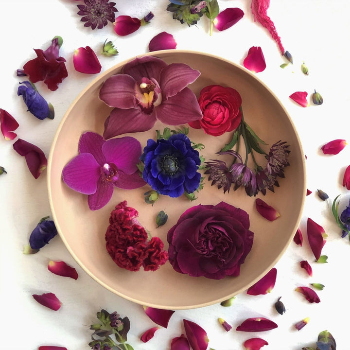 Jewel tone floral Subscription | Stacy K Floral | Orchids, celosia, and more.