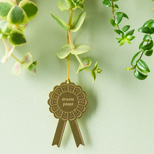 Plant Awards | "Dream Plant" award, a celebratory decoration for planting achievements. A miniature brass rosette with a gold string. Pictured hanging off a plant stem against a mint green wall.