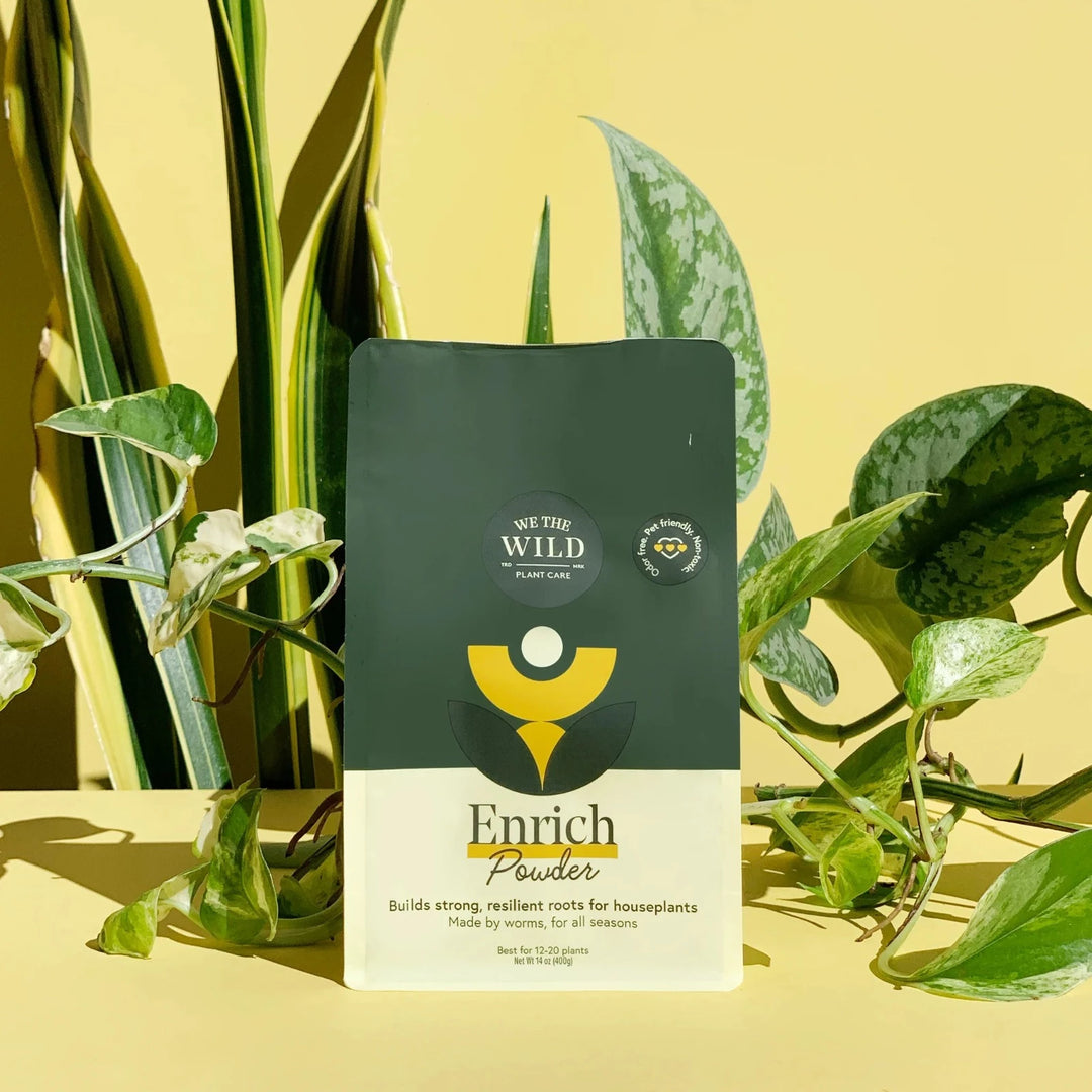 Enrich Powder | We The Wild | Builds strong, resilient roots for houseplants. Made by worms, for all seasons. Best for 12-20 plants. Net Wt 14oz (400g). Classy green and yellow packaging. Photo taken on a yellow background with houseplants.