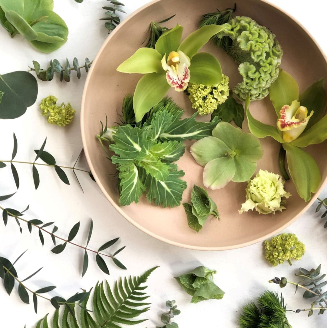monochromatic green colors