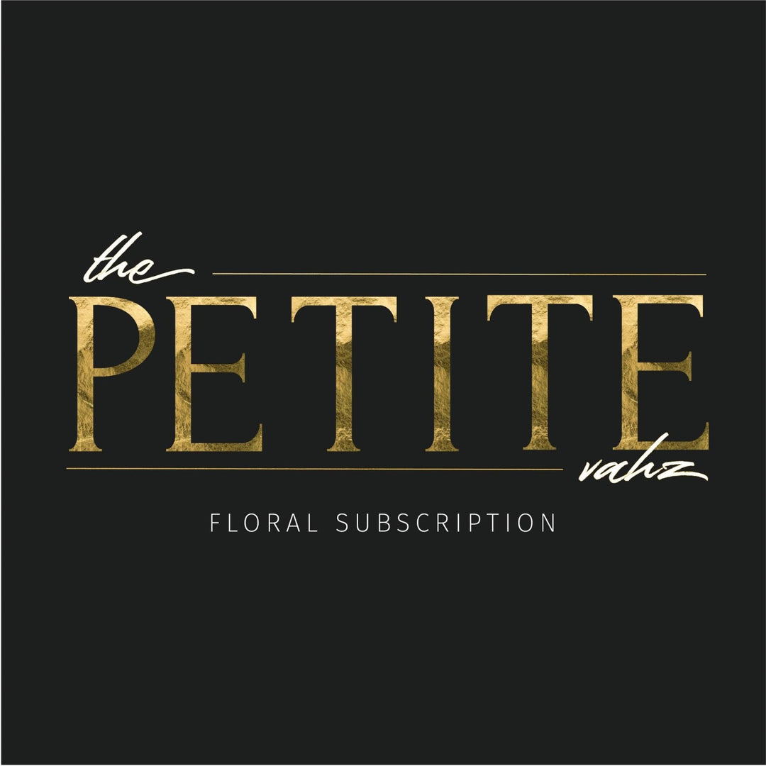 the petite vahz floral subscription | Stacy K Floral