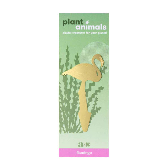 Plant Animals | Flamingo | Playful creatures for your plants! A brass flamingo against green packaging.