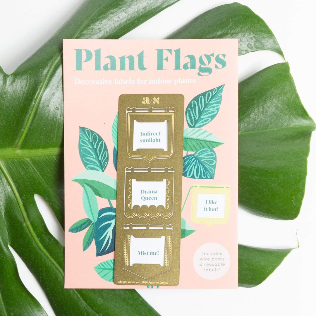 Plant Flags | Metal square labels with replaceable paper saying such as "Indirect sunlight" "Drama Queen" "Mist me!" and "I like it hot!". Includes wire posts and reusable labels. Pink packaging with green title and illustrated plants.