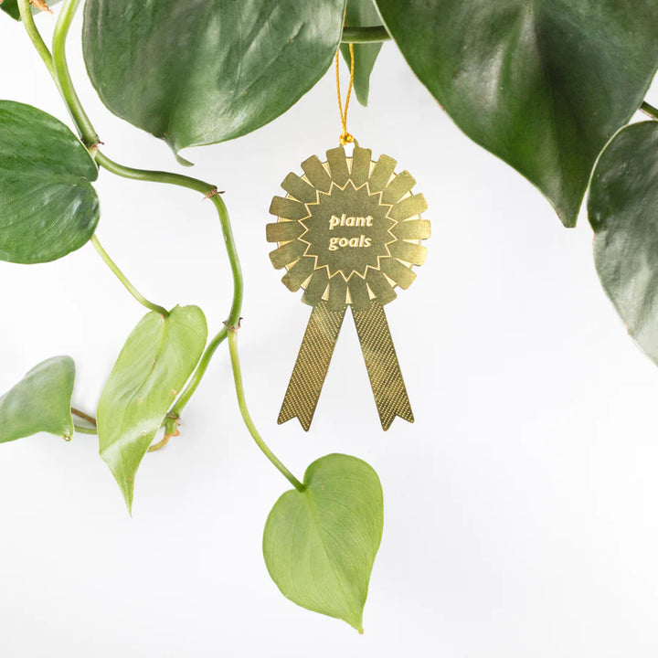 Plant Awards | "Plant Goals" award, a celebratory decoration for planting achievements. A miniature brass rosette with a gold string. Pictured hanging off a plant stem against a mint green wall.