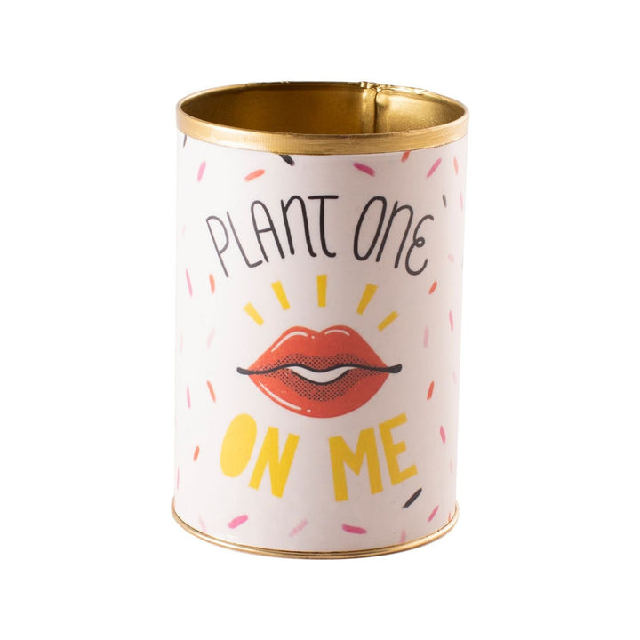 Plant one on me can. A white can with illustrated sprinkles and the text reads "plant on on me" with red lips in the middle. Photo taken on a white background.