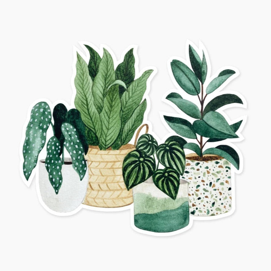 Potted Plants Clear Sticker | Clear sticker with four potted plants.