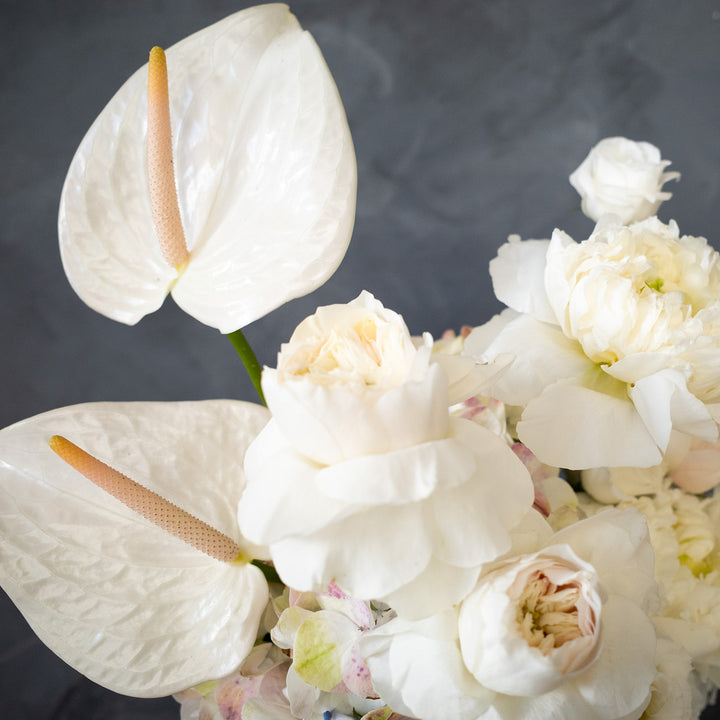 White anthurium with garden roses and other white blooms with a grey background. Rochester NY Flower Delivery | Pittsford Florist | Brighton Flower Delivery  