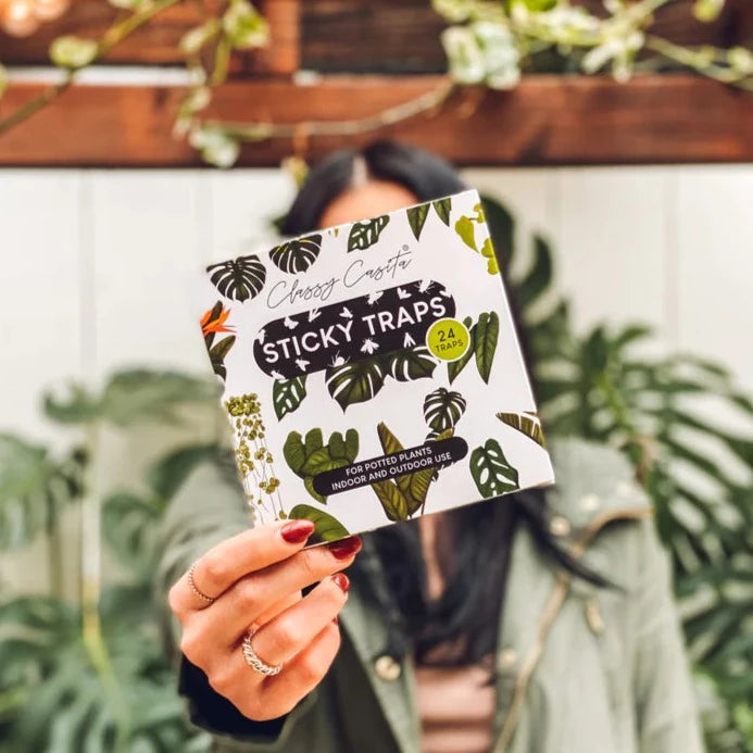 Sticky Traps | Classy Casita | Person holding up the sticky traps box. It is white with green botanical illustrations. There is a sticker on the box that says 24 traps. For potted plants indoor and outdoor use. Photo by Classy Casita