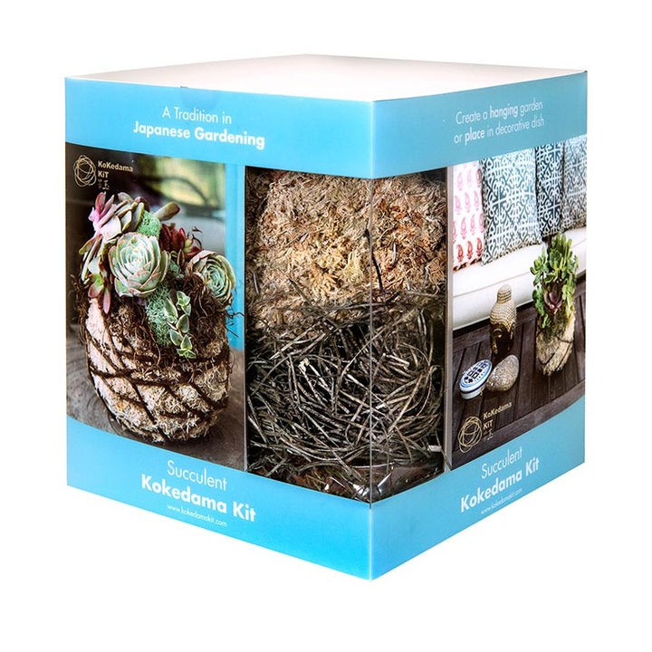 Succulent Kokedama Kit | A blue package with transparent sides and an image of the finished Kokedama. It is a moss ball with twine and succulents.