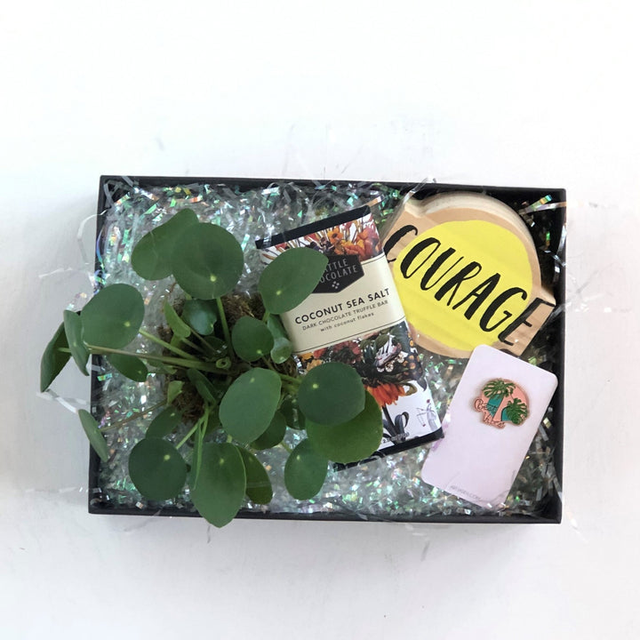 Gift box picturing Pilea plant, Seattle Chocolate coconut sea salt dark chocolate truffle bar with coconut flakes, best vibes pin, and courage sign.