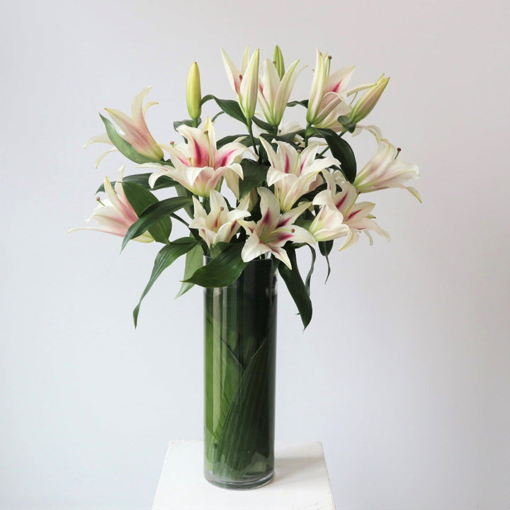white lilies with pink inside Lots of Lilies | Fresh Oriental Lily Arrangement