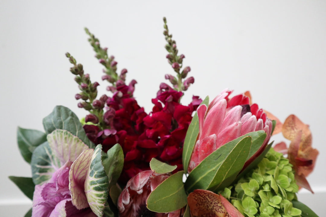 Snapdragons, Kale, and protea in a vase. Stacy K Floral | Florist Rochester NY 
