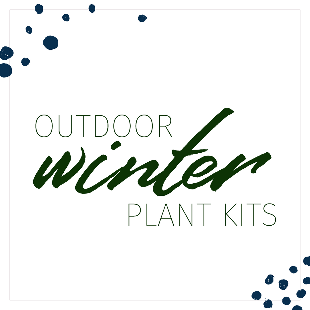 Outdoor Winter Plant Kit