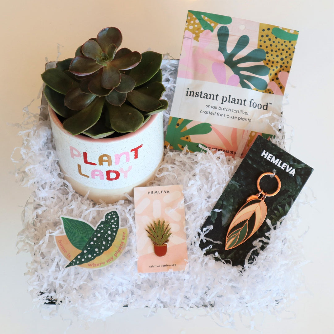 Gift box with succulant in planter that has text on it "plant lady", instant plant food package with colorful design, sticker, plant pin, and plant key fob. Photo taken on white background.