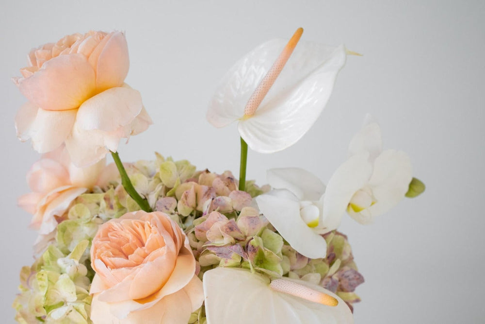 Peach Garden rose in hydrangea. Luxury Flower delivery | Garden style arrangements 