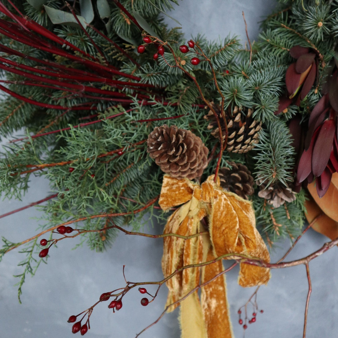 Winter wreath made with seasonal evergreens, dogwood branching, magnolia, pinecones, silver dollar eucalyptus, spiral eucalyptus, ilex berry, pinecones and a yellow/orange velvet style ribbon. Photo taken on gray backdrop.