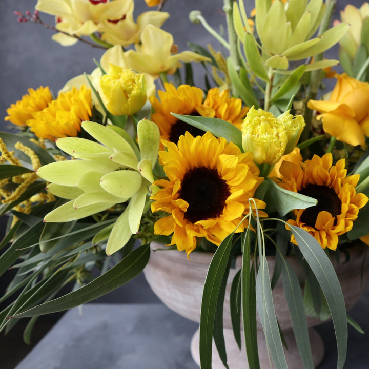 Yellow sunflowers, yellow tulips, yellow safari protea and greeney. Vase is a cream compote.