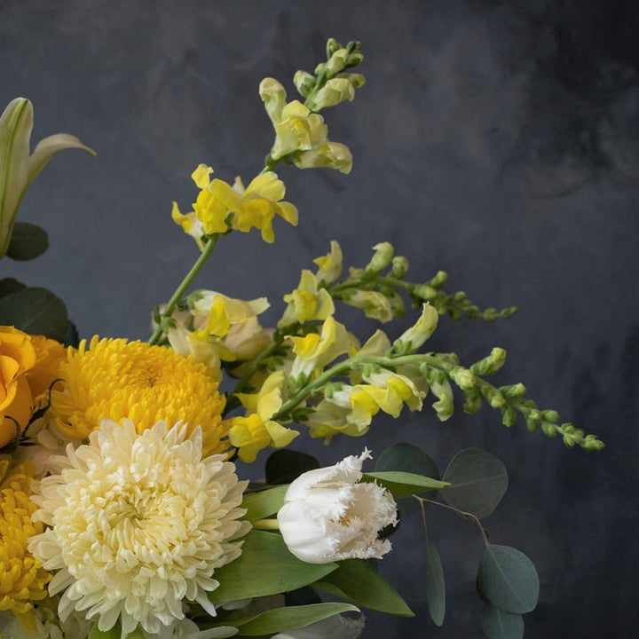 Close up of mums and snapdragons. Photo taken on gray background.