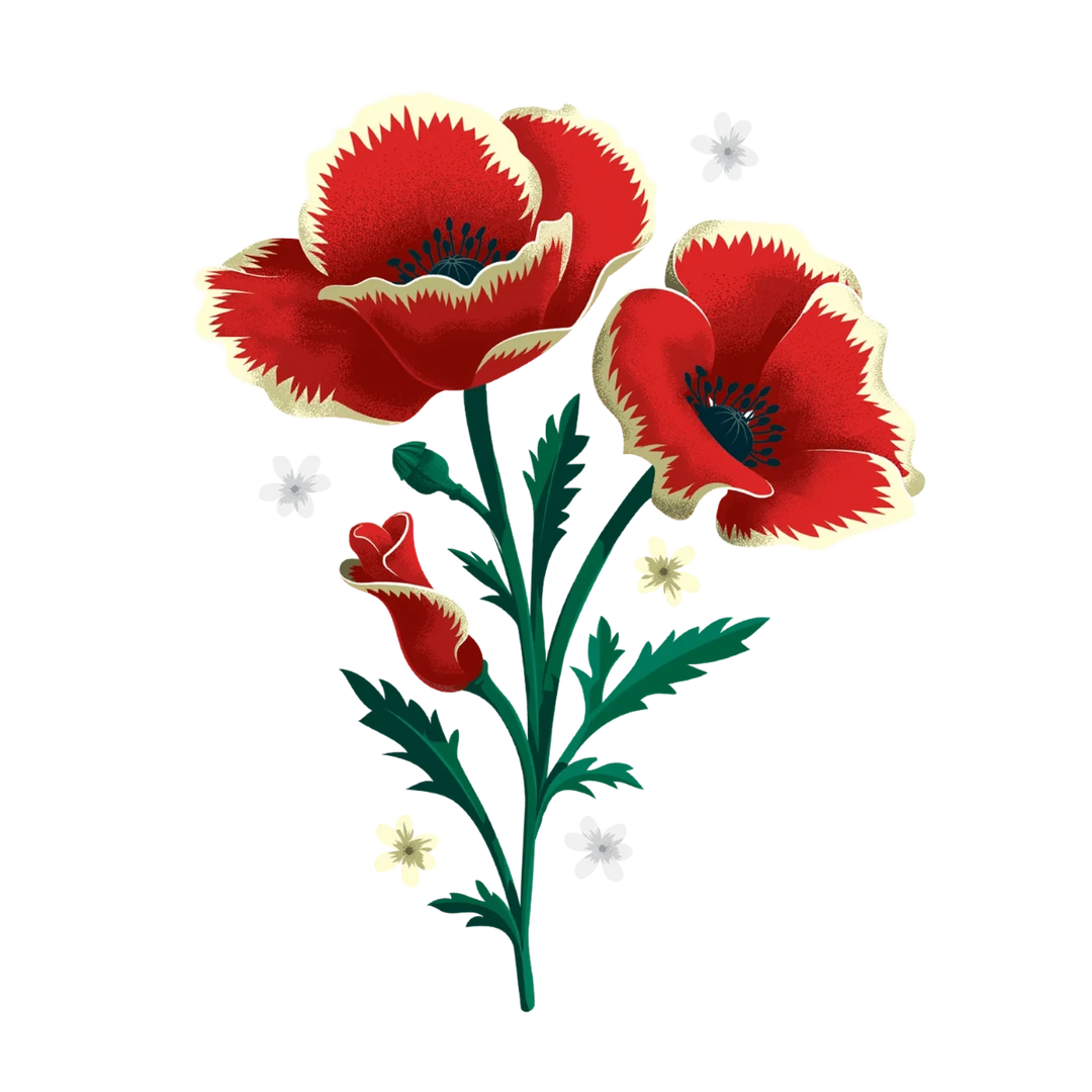 Tattly Tattoos | Temporary | a red poppy with a cream rim and green stem. Small white flowers accent the poppy.