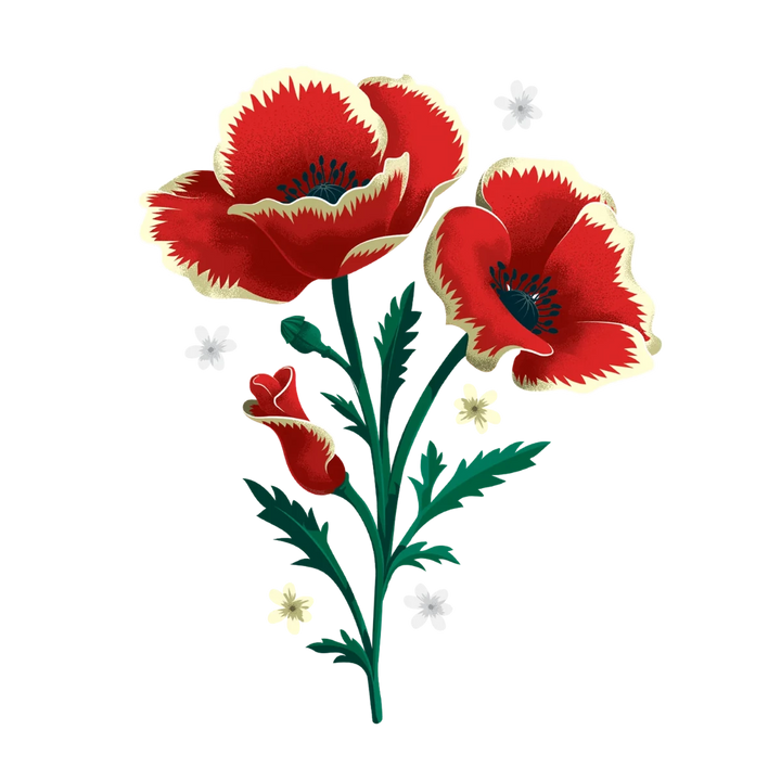 Tattly Tattoos | Temporary | a red poppy with a cream rim and green stem. Small white flowers accent the poppy.