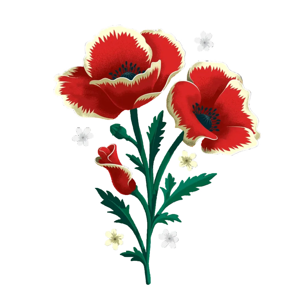 Tattly Tattoos | Temporary | a red poppy with a cream rim and green stem. Small white flowers accent the poppy.