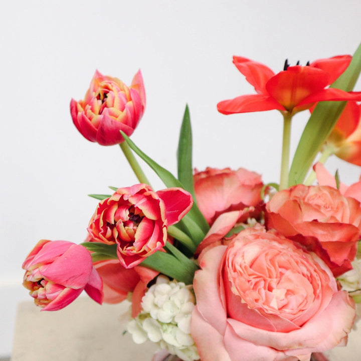 Tulips and Roses | Close up on double tulips. They are a pink/red with yellow colored edges.