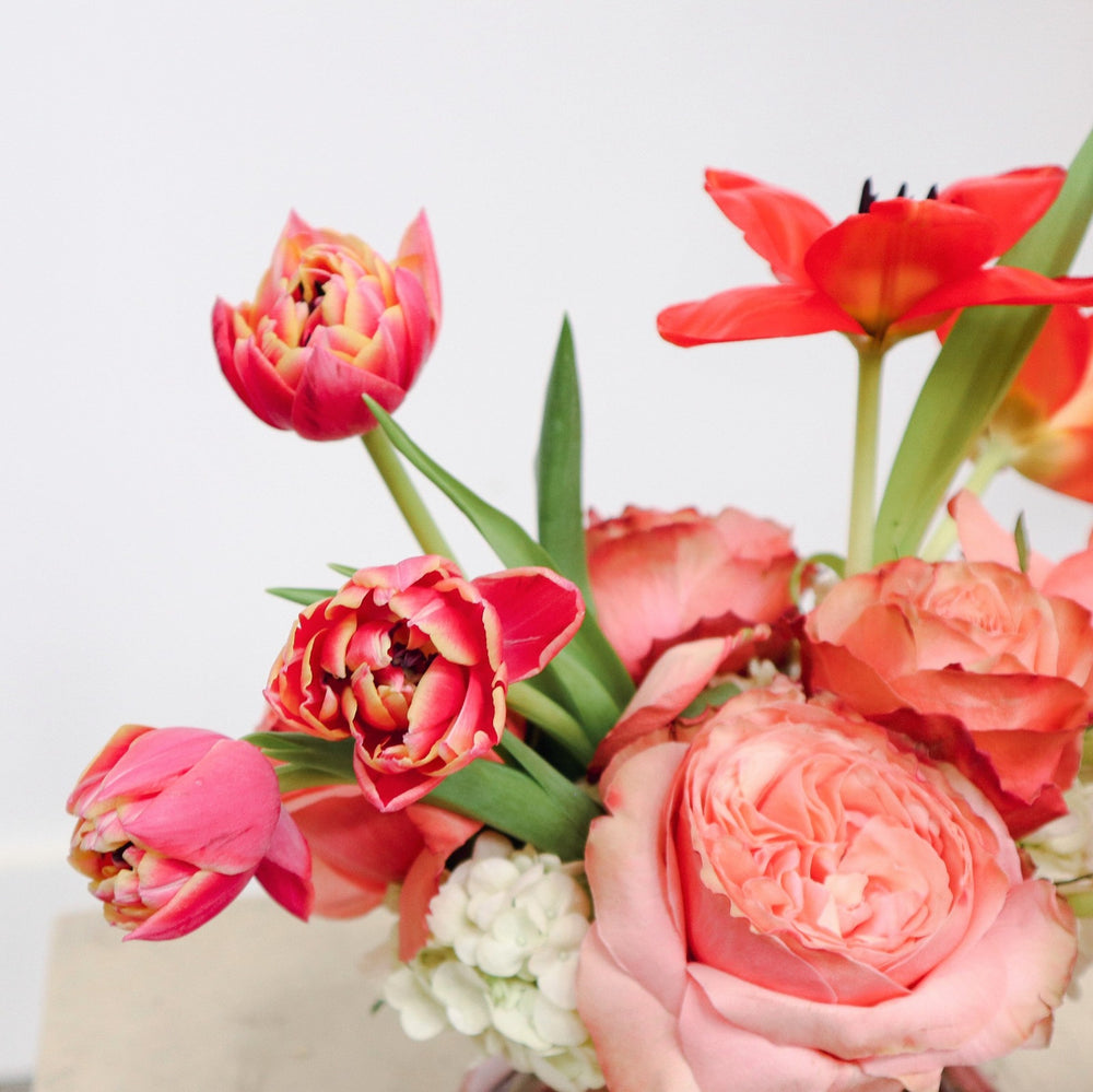 Tulips and Roses | Close up on double tulips. They are a pink/red with yellow colored edges.