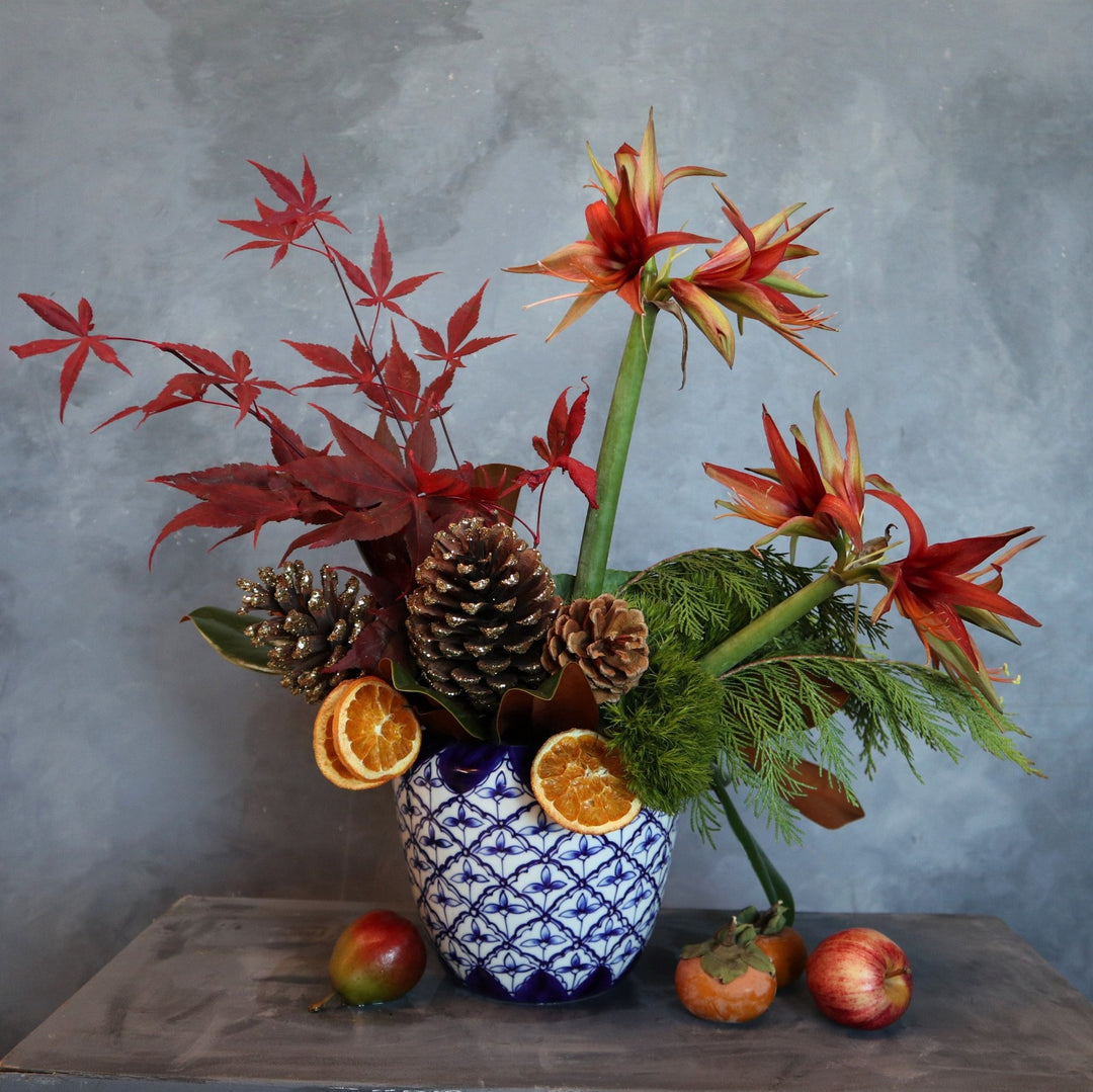 Arrangement in blue and white vessel, filled with evergreen, seasonal red greenery, pinecones and red amaryllis and dried orange slices. 